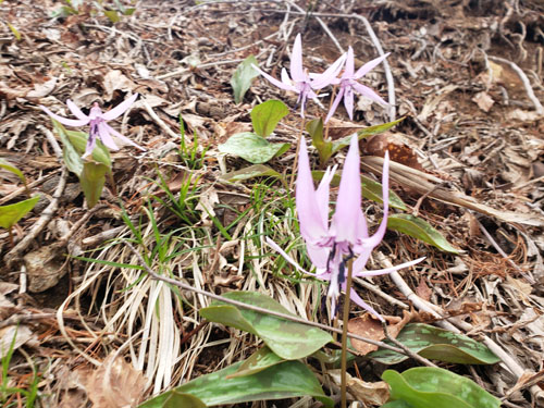 ������ �������� ��ȉ����ӏ��E�ŐV���